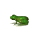 frogwht.gif